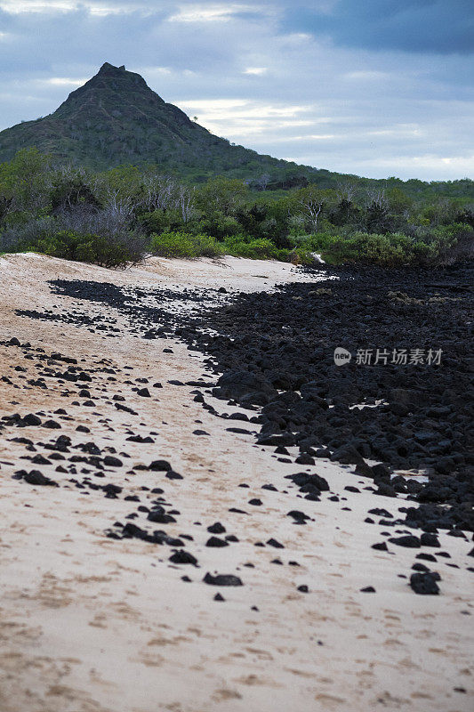 Cerro Dragón火山在圣克鲁兹岛在Galápagos群岛